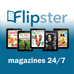 flipster graphic