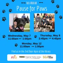 A blue infographic with pictures of dogs and pawprints with details of the event