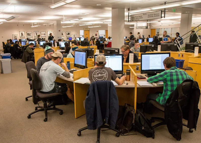 photo of students working at computers